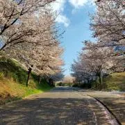 かれこれの画像