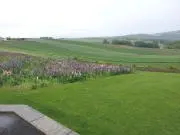 ホビージャンキーの画像