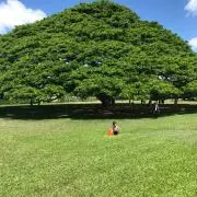 K・K