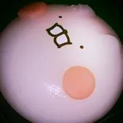 あり