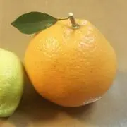 だいき