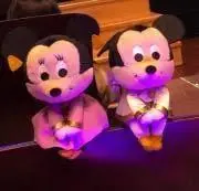 ポムポムぽぽの画像