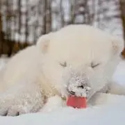 そら