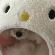 さらの画像