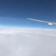 aysの画像