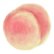 もも