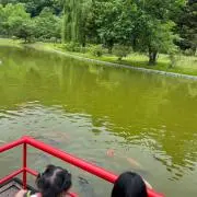 華の画像