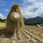 MASAの画像