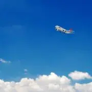 さりの画像