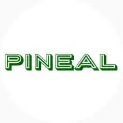PINEALの画像