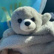 しゅんの画像