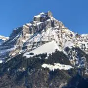 ほるむの画像