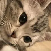 yu_☆の画像