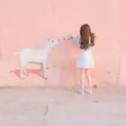 NANAの画像