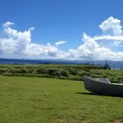 クーガーの画像