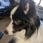 福まめ❤24時間以内に発送できますの画像