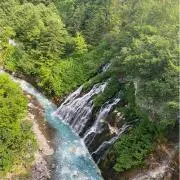 ドリームの画像