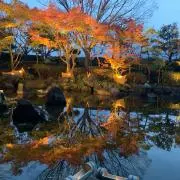 kir.hの画像