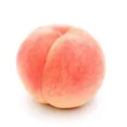 ももの画像