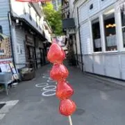 kanの画像
