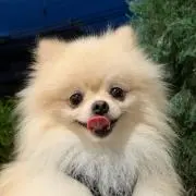 ♡