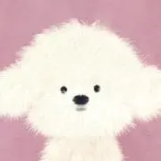 ぽぴの画像