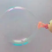 ぴちの画像