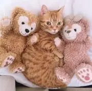 サチ　値下げ歓迎★プロフ必読