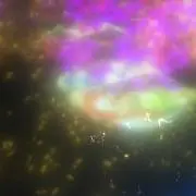 ぽんずの画像