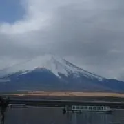 ぴろよんの画像