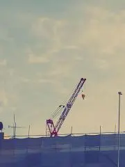 コタの画像