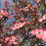kw362の画像
