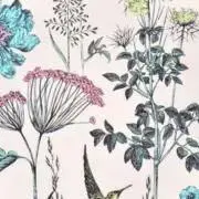 mihaの画像