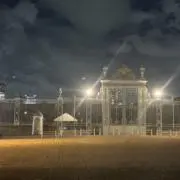 イエローの画像