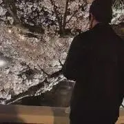 shu