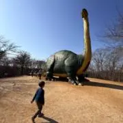 チャチャ丸の画像
