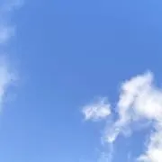 さくの画像