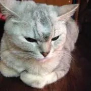 じょりー プロフご確認下さい(^^)の画像