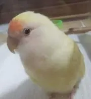 もも＆まりん