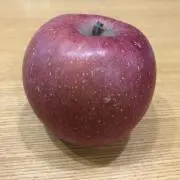 シバケンの画像