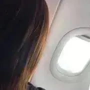 あんの画像