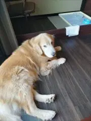 なじみの画像