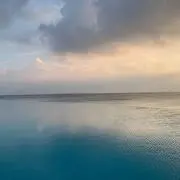 なえかの画像