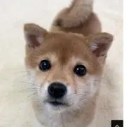 キキ