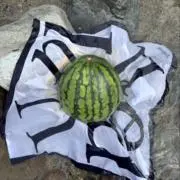 カ