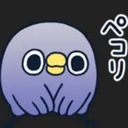 マコの画像