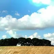 ヒロ