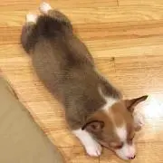 louiseの画像