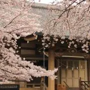 ハイオク
