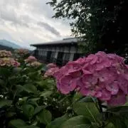 Ruuuuの画像